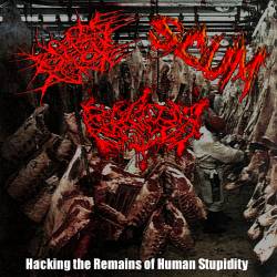 Cerebral Oedema : Hacking the Remains of Human Stupidity